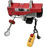 Mytol 125 250Kg Elektrikli Vinç