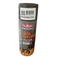 Rexon Isıya Dayanıklı Sprey Boya Siyah
